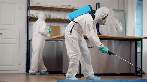 all pest control services.